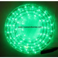 Green LED Rope Light 8m for in & Outdoor use & controller