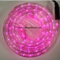 Pink LED Rope Light 8m for in & Outdoor use & controller