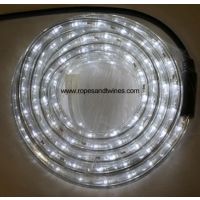 White LED Rope Light 8m for in & Outdoor use & controller